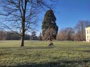 Parc du château de Quincy-Voisins